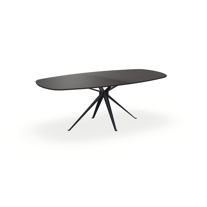 Eettafel Eiken Fineer Black Smoke In - Ovaal Deens - Anna Onderstel Mat Zwart - {{ product.type }} - Kas20