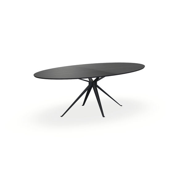 Eettafel Eiken Fineer Zwart - Ovaal - Anna Onderstel Mat Zwart - {{ product.type }} - Kas20