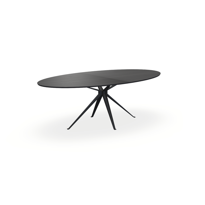 Eettafel Eiken Fineer Zwart - Ovaal - Anna Onderstel Mat Zwart - {{ product.type }} - Kas20