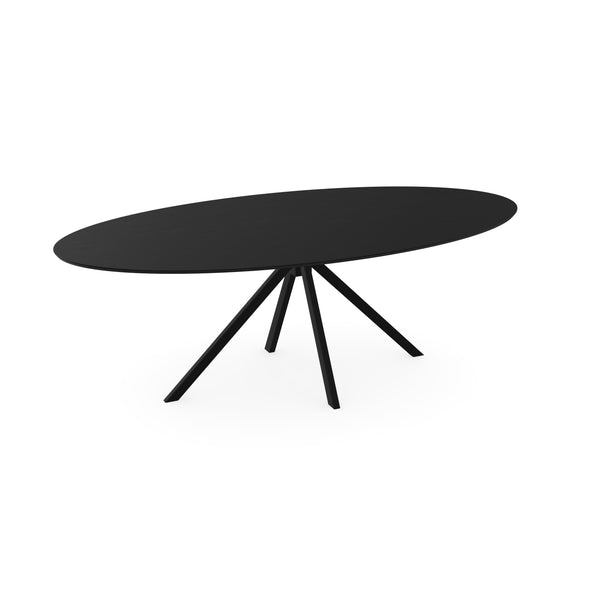 Eiken massief eettafel zwart - Ovaal - Jeroen zwart