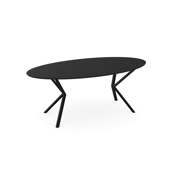 Eiken eettafel Zwart - Ovaal - Vv Zwart
