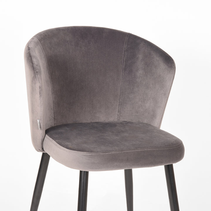 Eetkamerstoel Winston - Grijs - Fluweel (set van 2) - {{ product.type }} - Kas20
