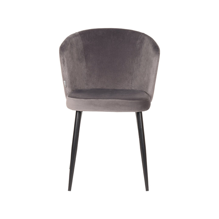 Eetkamerstoel Winston - Grijs - Fluweel (set van 2) - {{ product.type }} - Kas20