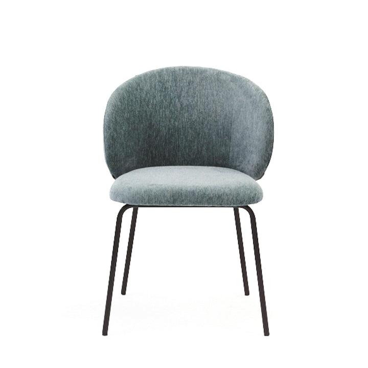 Eetkamerstoel David - Wing Niagara - Vast onderstel - {{ product.type }} - Kas20