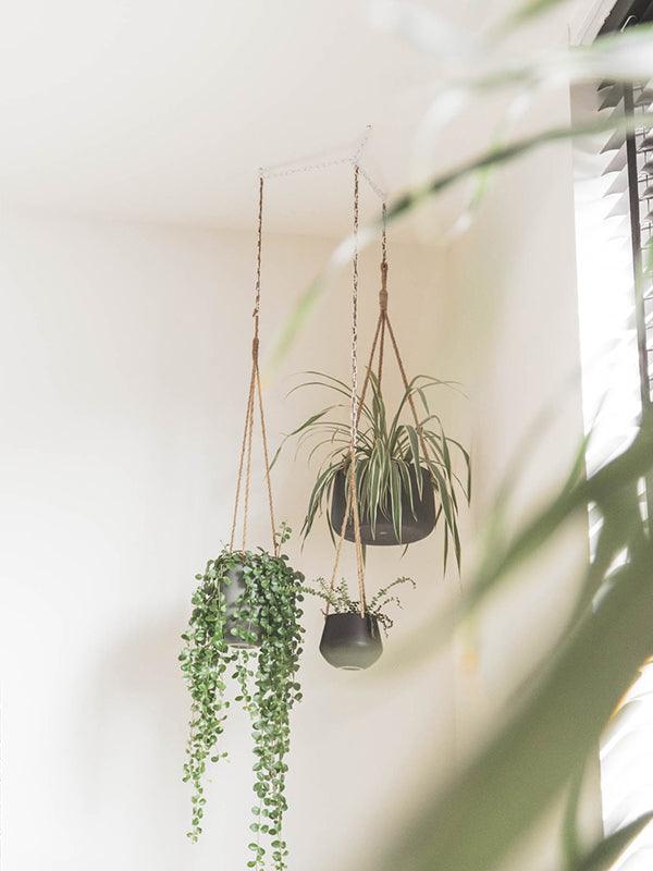Mooij Designs - {{ product.type }} - Kas20
