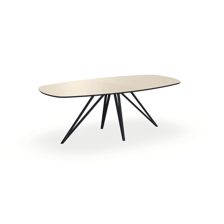 Zelf ontworpen tafel - {{ product.type }} - Kas20