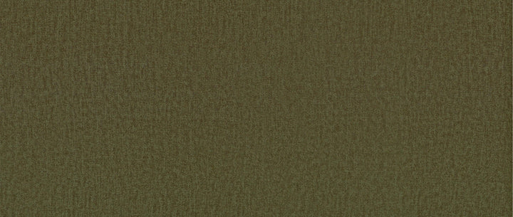Amber Eetkamerstoel met arm - Stof Monolith 38 Groen - {{ product.type }} - Kas20