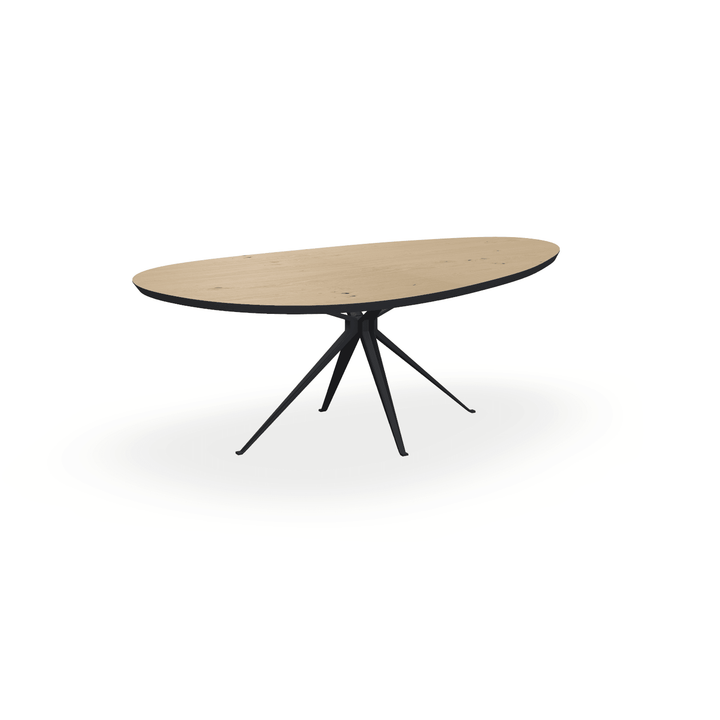 Zelf ontworpen Eettafel - {{ product.type }} - Kas20