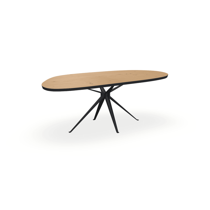 Zelf ontworpen Eettafel - {{ product.type }} - Kas20